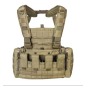 Gilet de combat chest rig MKII Tasmanian Tiger + extension dorsale, cl : sable