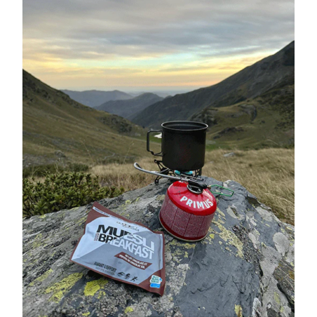 Muesli au Lait et Pépites de Chocolat XXL - MX3